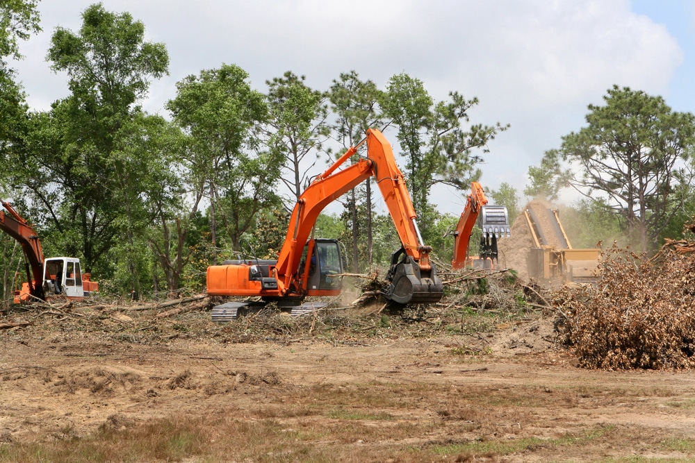 Land Clearing Services project photo 2 by Pace Lawncare & Land Services in Chipley, FL