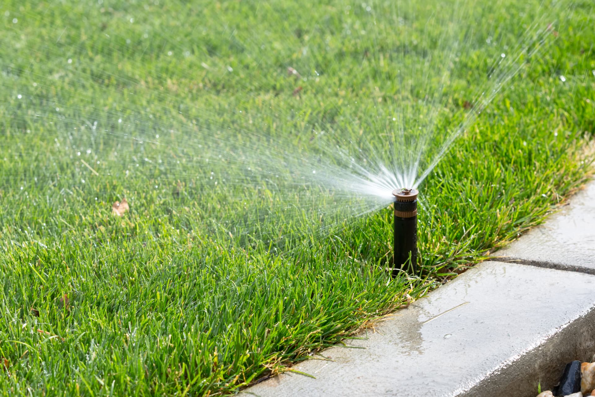 Irrigation Installation and Repair project photo 3 by Pace Lawncare & Land Services in Chipley, FL
