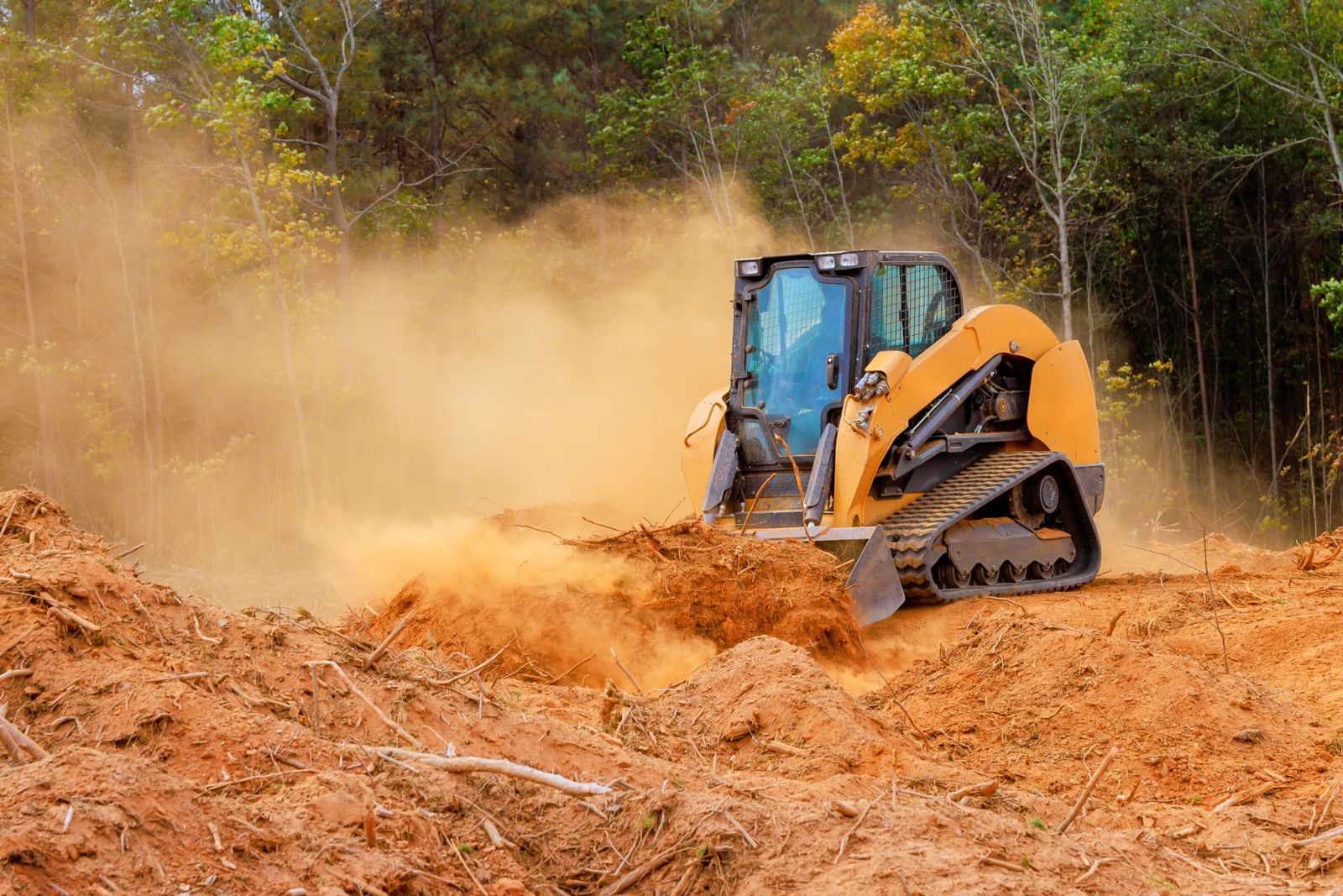 Land Clearing Services project photo 3 by Pace Lawncare & Land Services in Chipley, FL