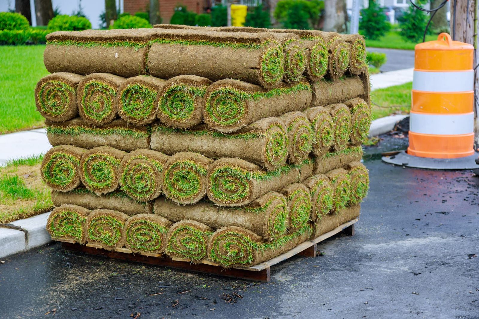 Sod Installation Services project photo 1 by Pace Lawncare & Land Services in Chipley, FL