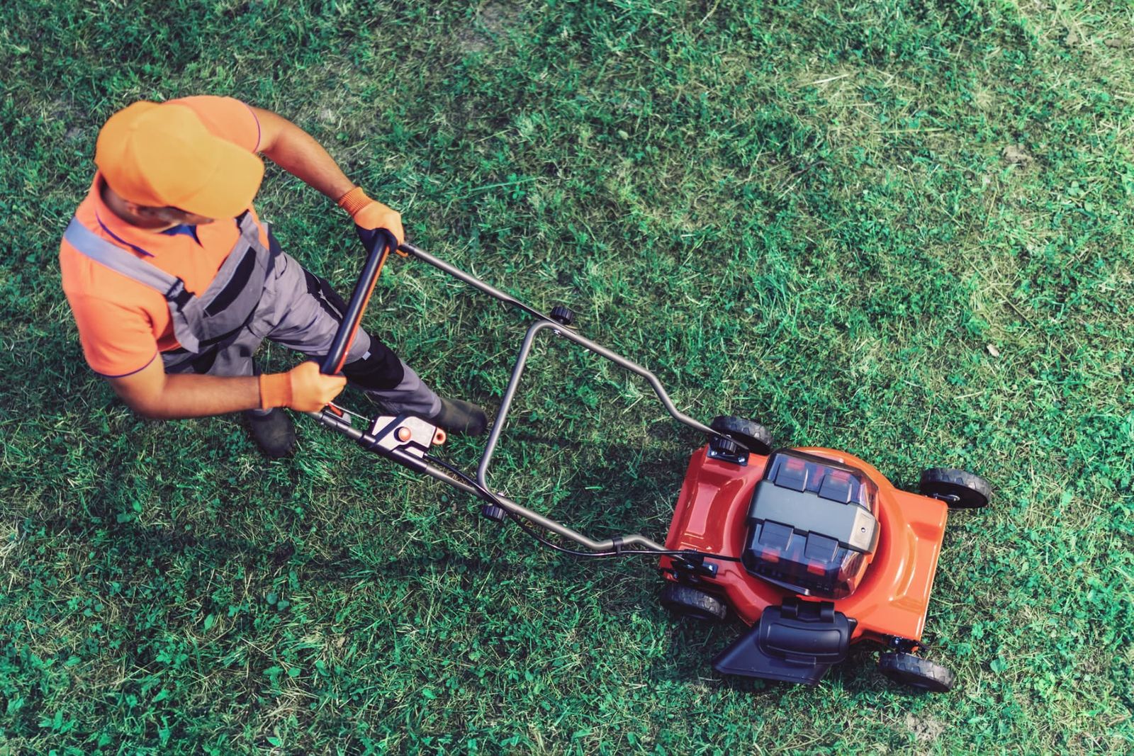 Lawncare Services project photo 2 by Pace Lawncare & Land Services in Chipley, FL