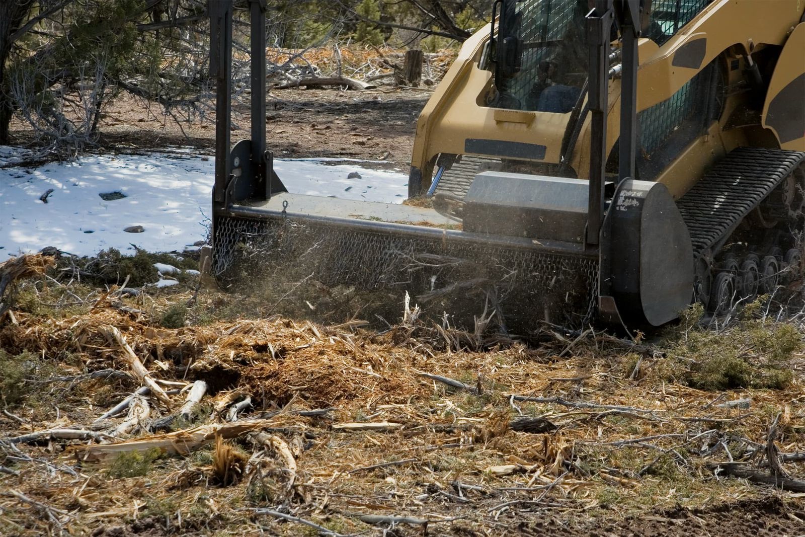 Forestry mulcher grinding brush and undergrowth on wooded land near Chipley, FL