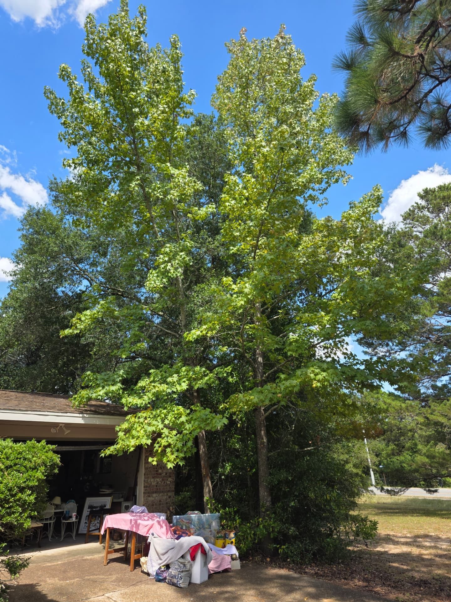 Well-maintained property served by Pace Lawncare & Land Services in Dothan, AL