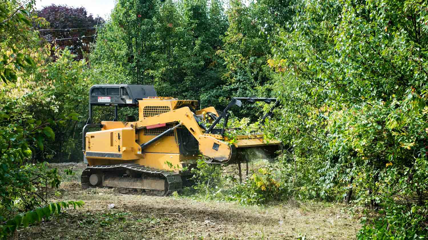 Forestry Mulching project photo 1 by Pace Lawncare & Land Services in Chipley, FL