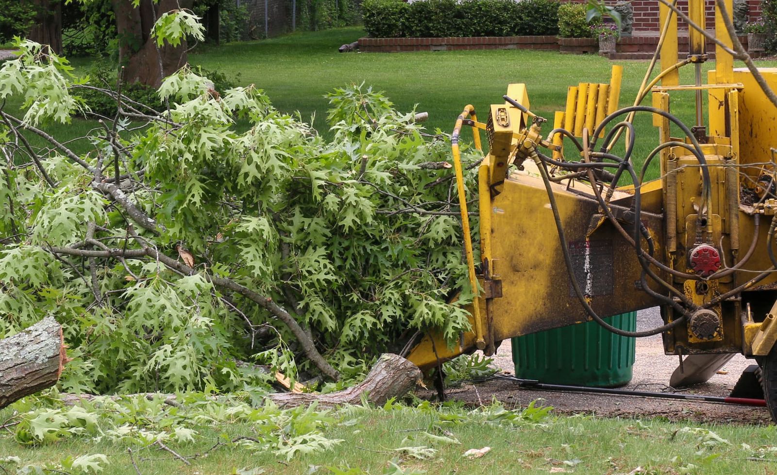 Tree Services project photo 3 by Pace Lawncare & Land Services in Chipley, FL