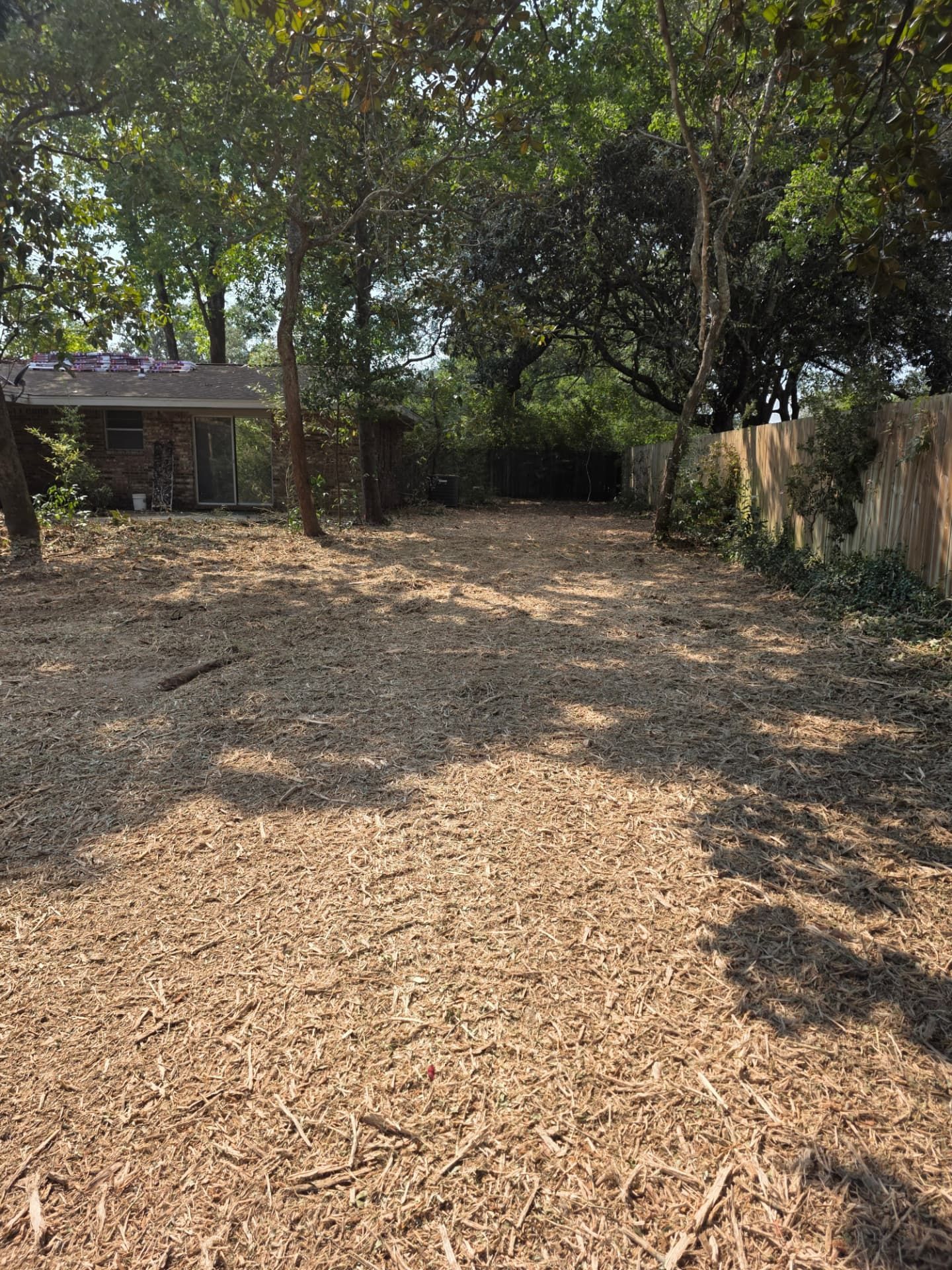 Forestry Mulching project photo 4 by Pace Lawncare & Land Services in Chipley, FL