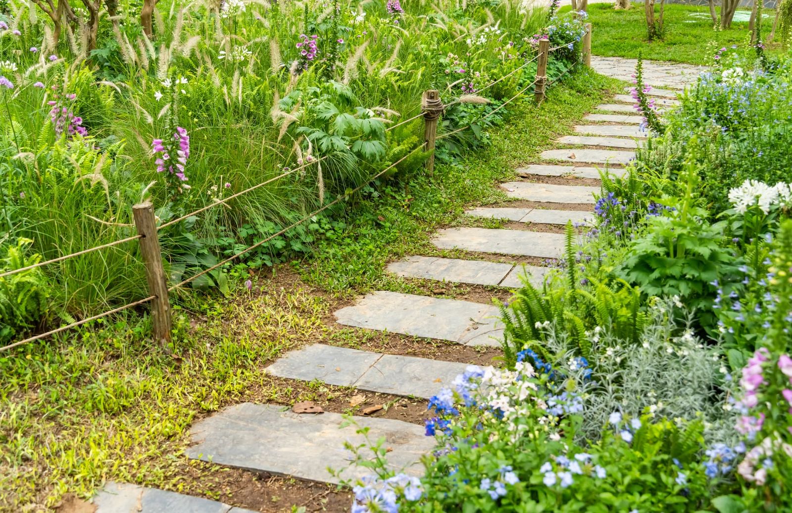 Professionally landscaped front yard with mulched beds and palms at a Florida home