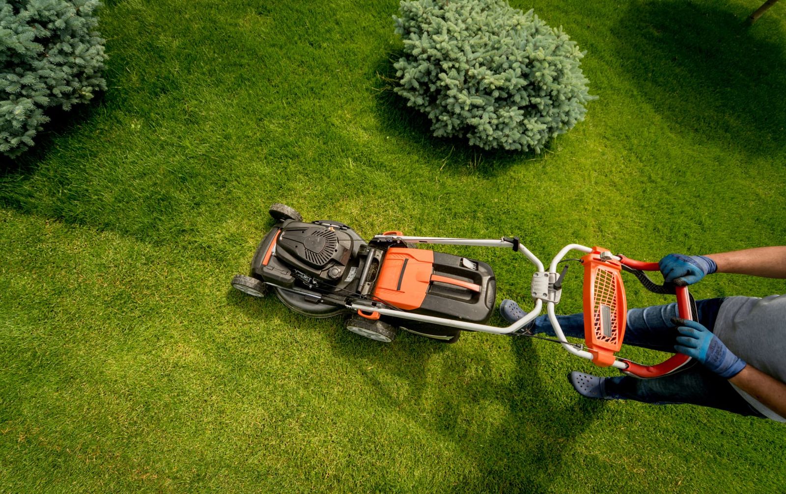 Weekly Maintenance for a Rental Portfolio — Lawncare Services project in Fort Walton, FL