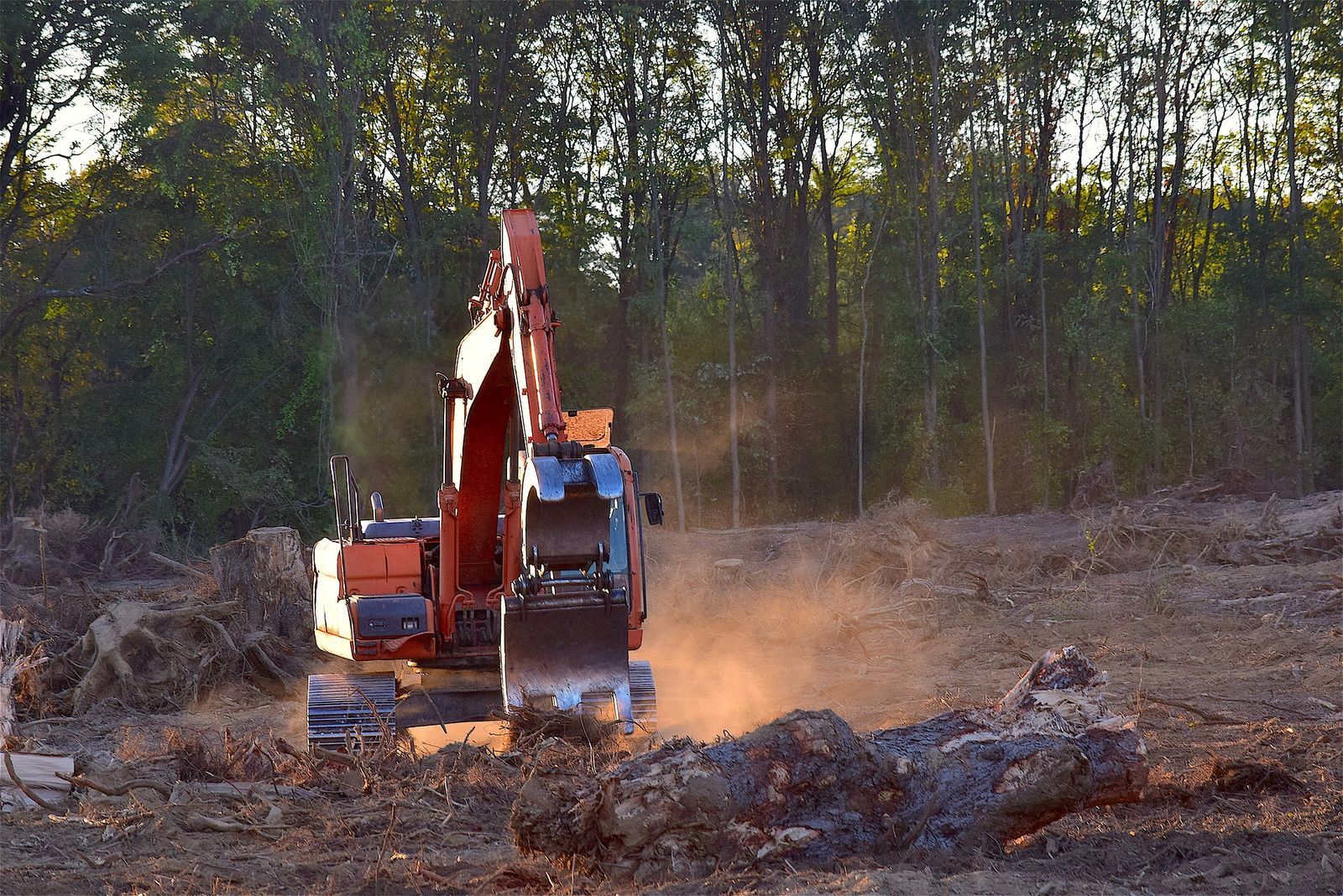 Land Clearing Services project photo 4 by Pace Lawncare & Land Services in Chipley, FL