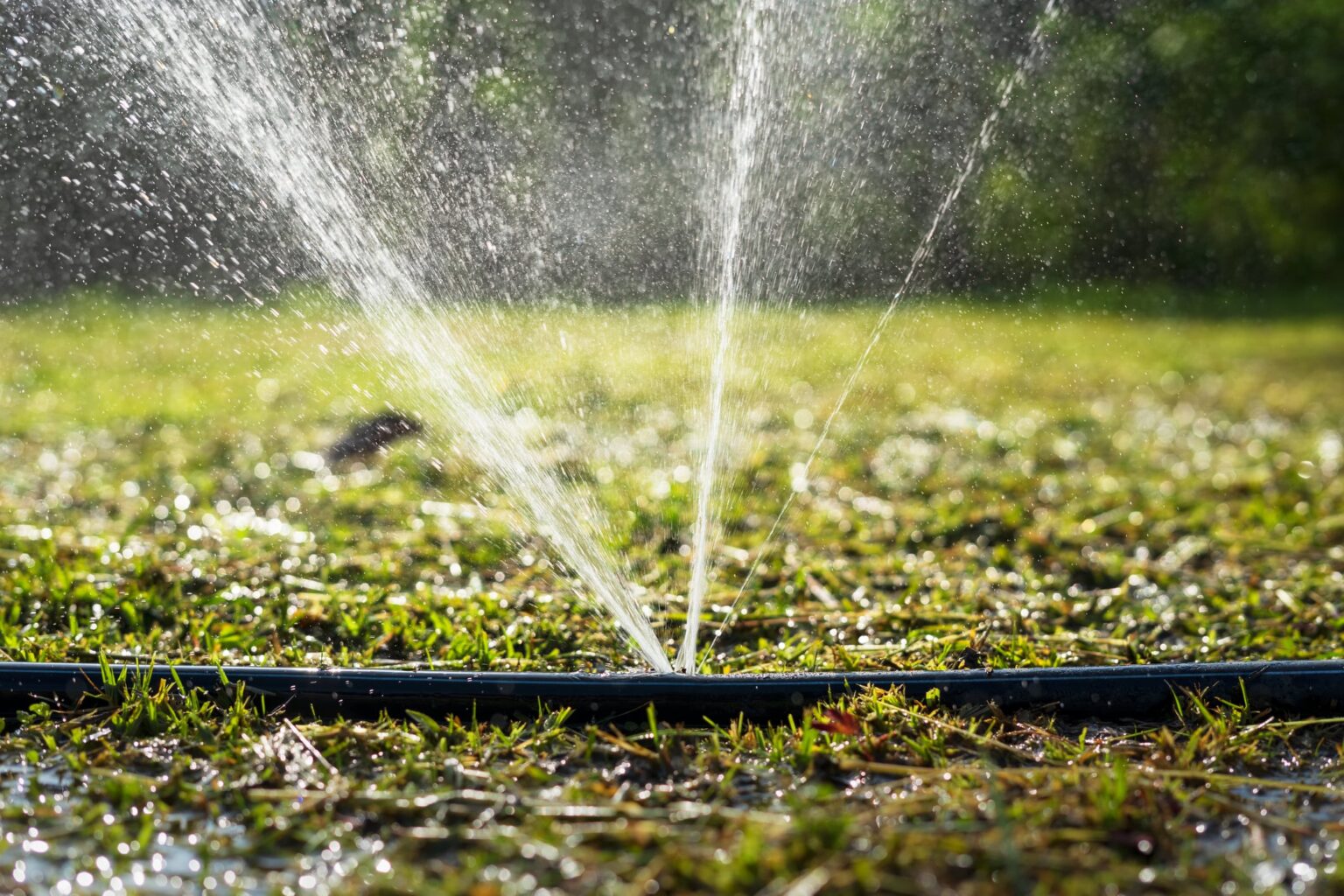 Lawncare and land services project 4 completed near Chipley, FL