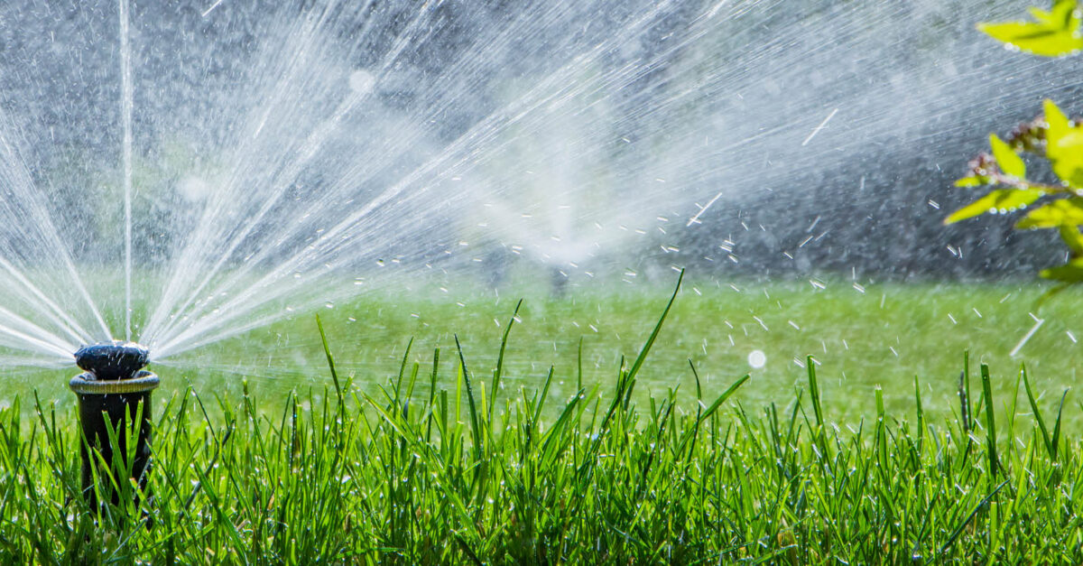 Lawncare and land services project 4 completed near Dothan, AL
